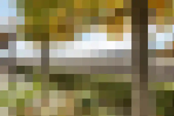 Schoonveldeweg 10 Koekange thumbnail 53