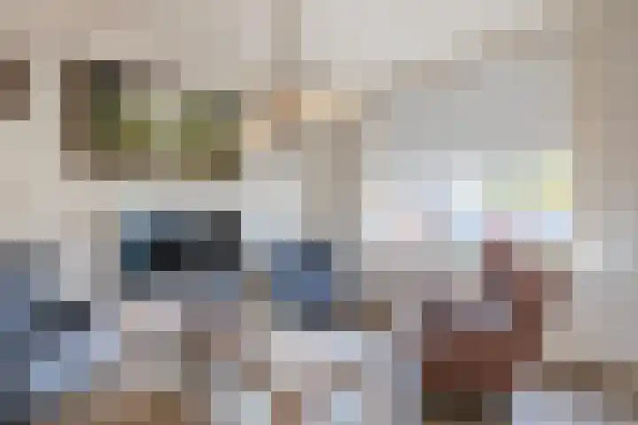 Schoonveldeweg 10 Koekange thumbnail 6