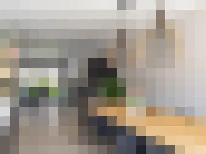 Schoonveldhof 3 Zutphen thumbnail 13