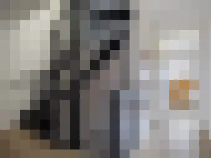 Schoonveldhof 3 Zutphen thumbnail 15