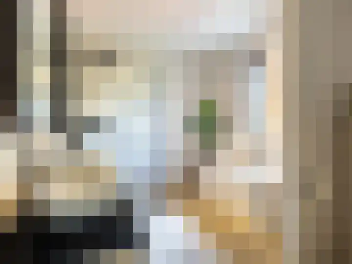 Schoonveldhof 3 Zutphen thumbnail 18