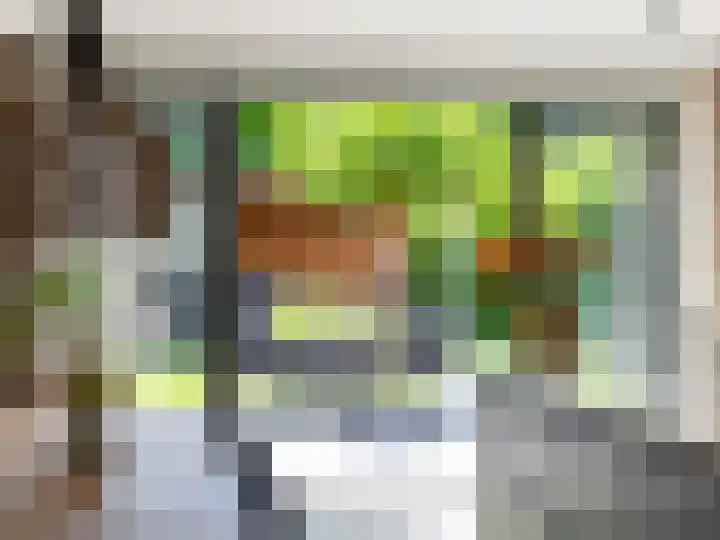 Schoonveldhof 3 Zutphen thumbnail 26