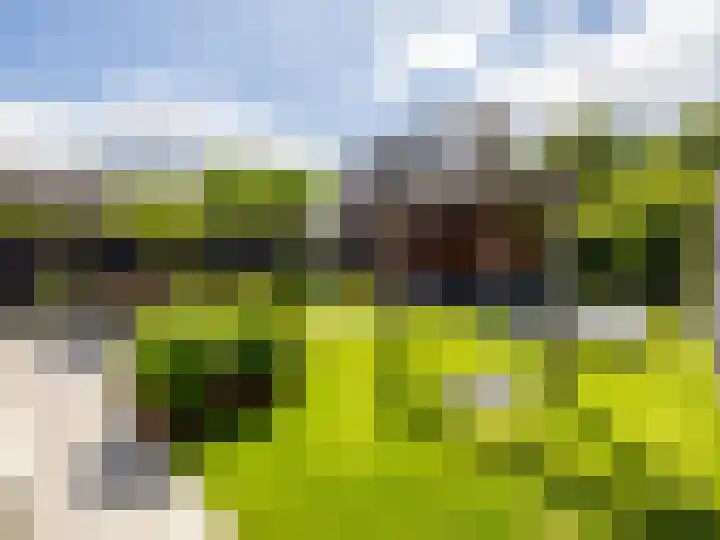 Schoonveldhof 3 Zutphen thumbnail 28
