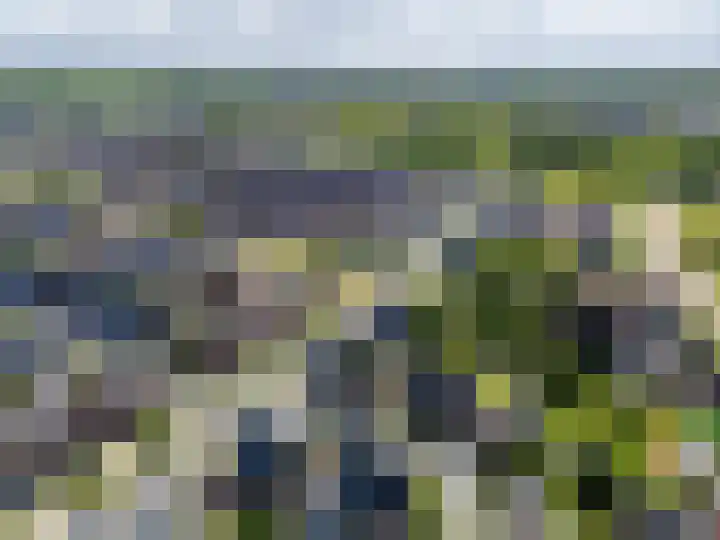 Schoonveldhof 3 Zutphen thumbnail 38