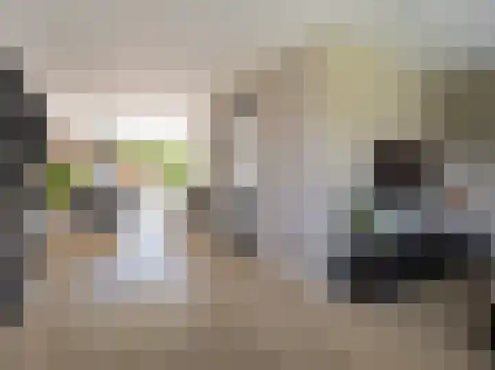 Schoonveldhof 3 Zutphen thumbnail 5