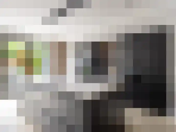 Schoonveldhof 3 Zutphen thumbnail 9