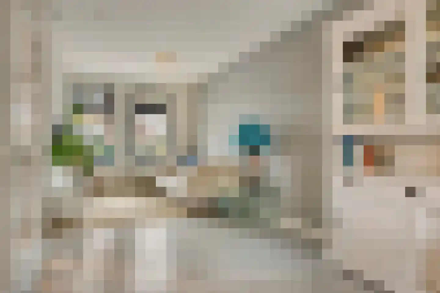 Schoonzicht 14 Oegstgeest thumbnail 13