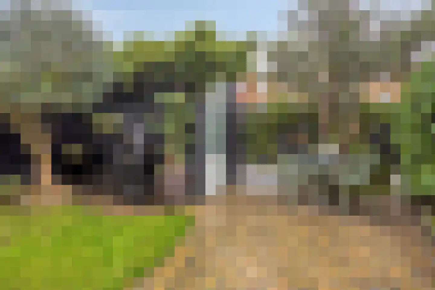 Schoonzicht 14 Oegstgeest thumbnail 17