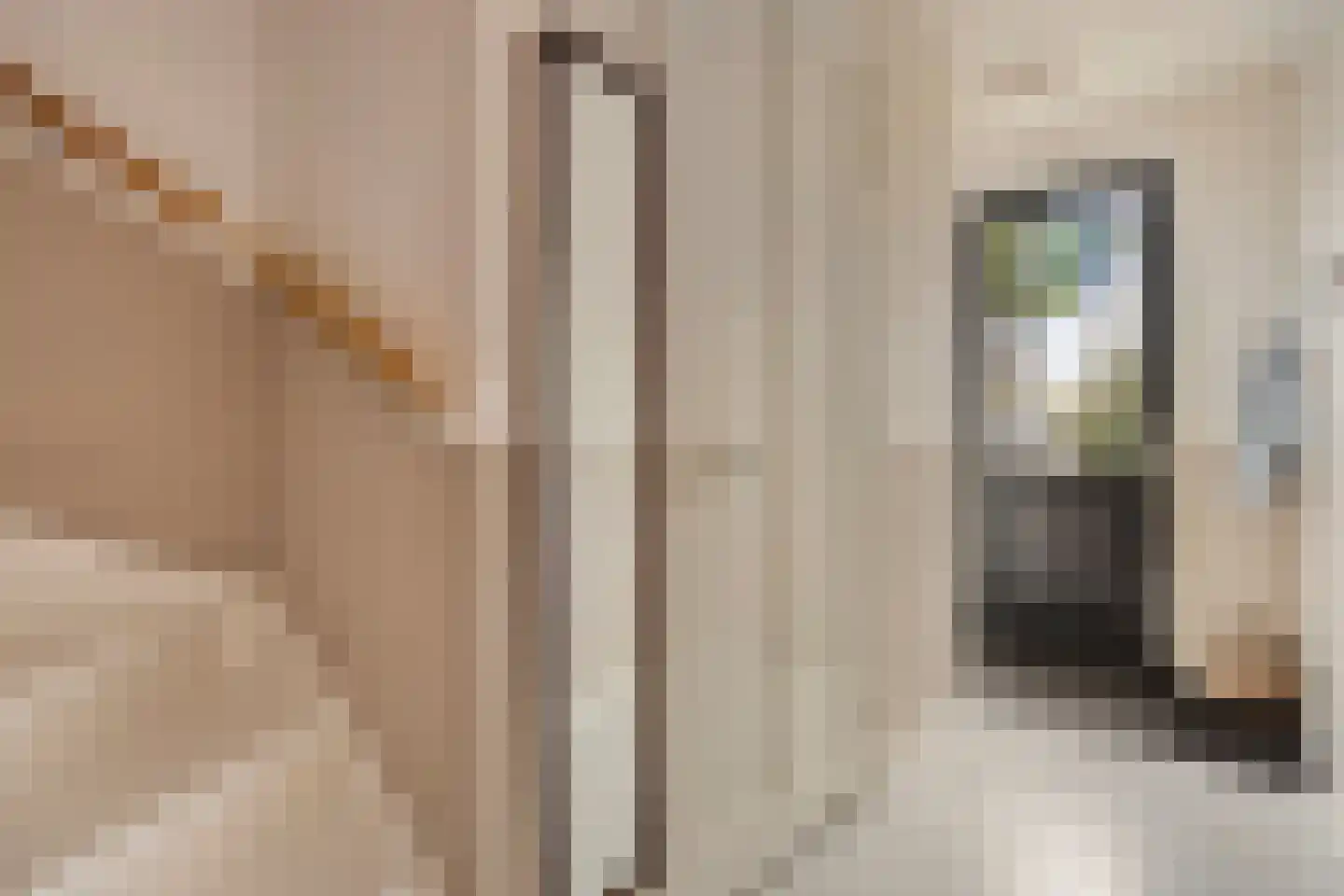 Schoonzicht 14 Oegstgeest thumbnail 19