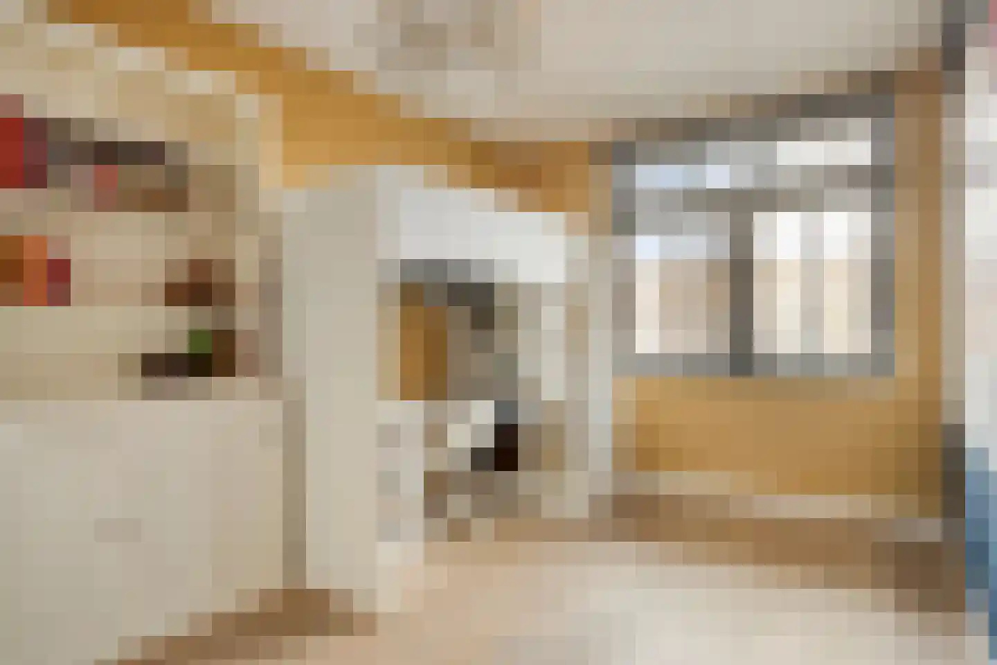 Schoonzicht 14 Oegstgeest thumbnail 21