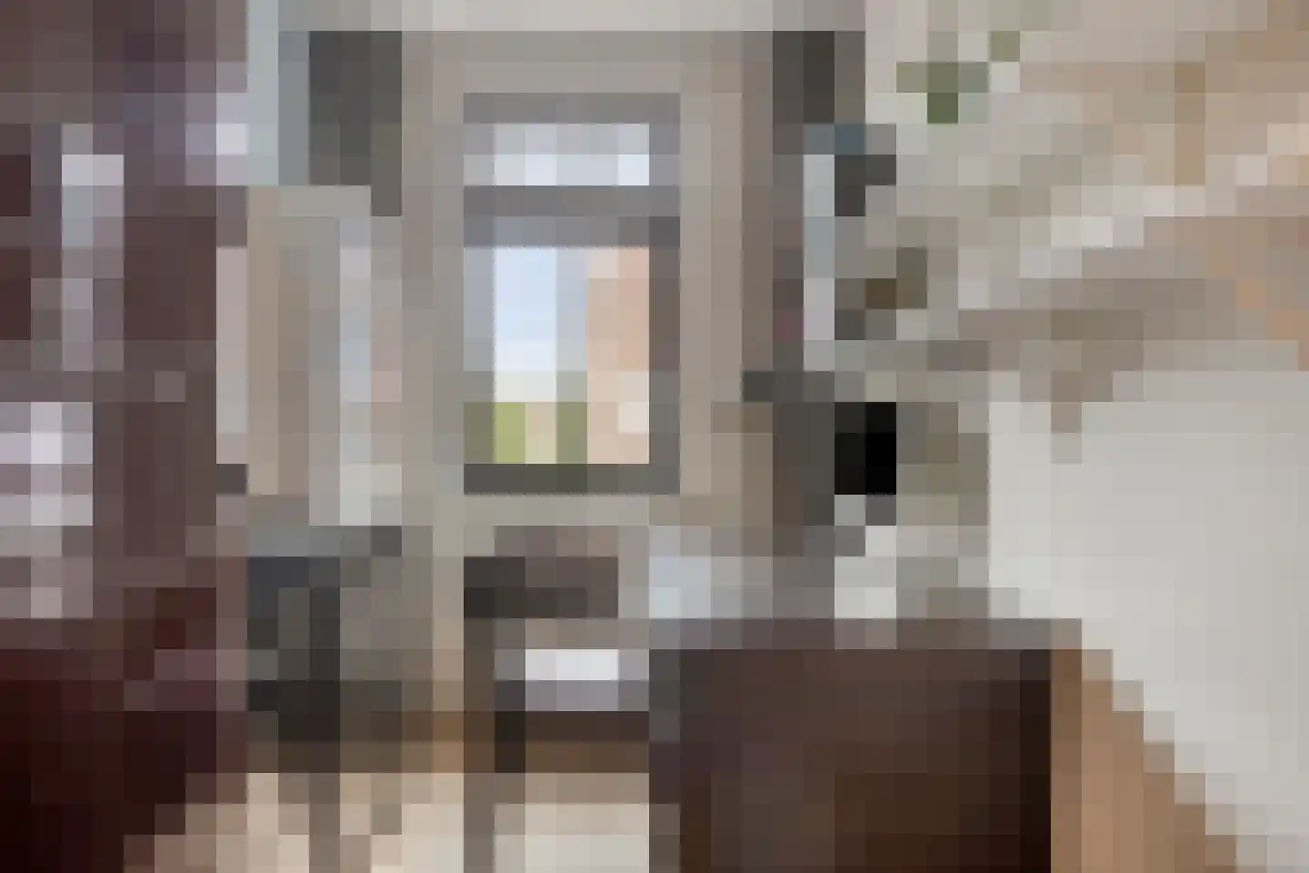 Schoonzicht 14 Oegstgeest thumbnail 25