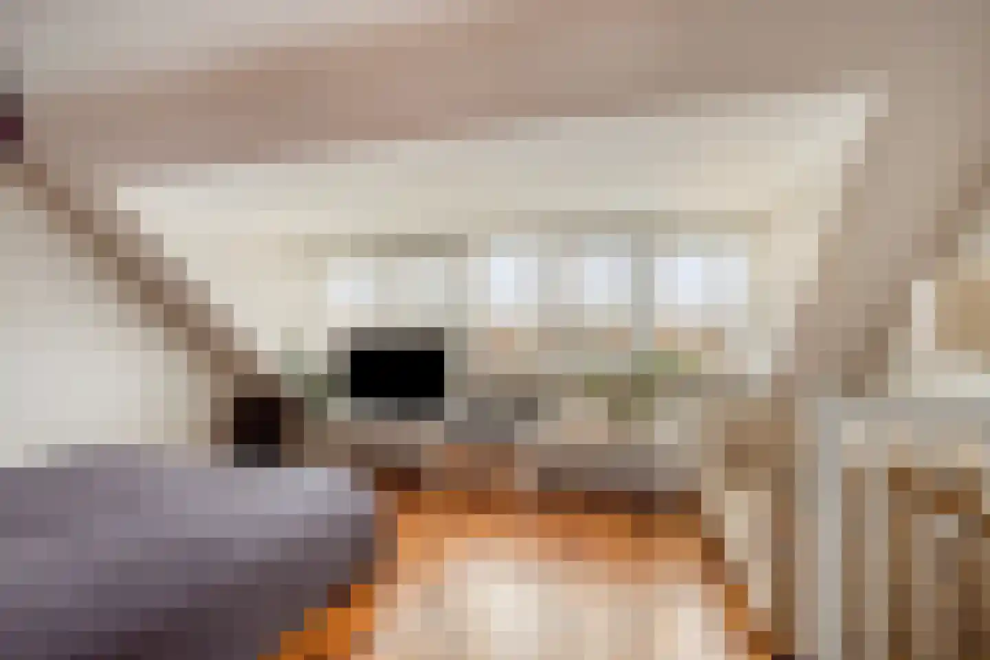Schoonzicht 14 Oegstgeest thumbnail 29
