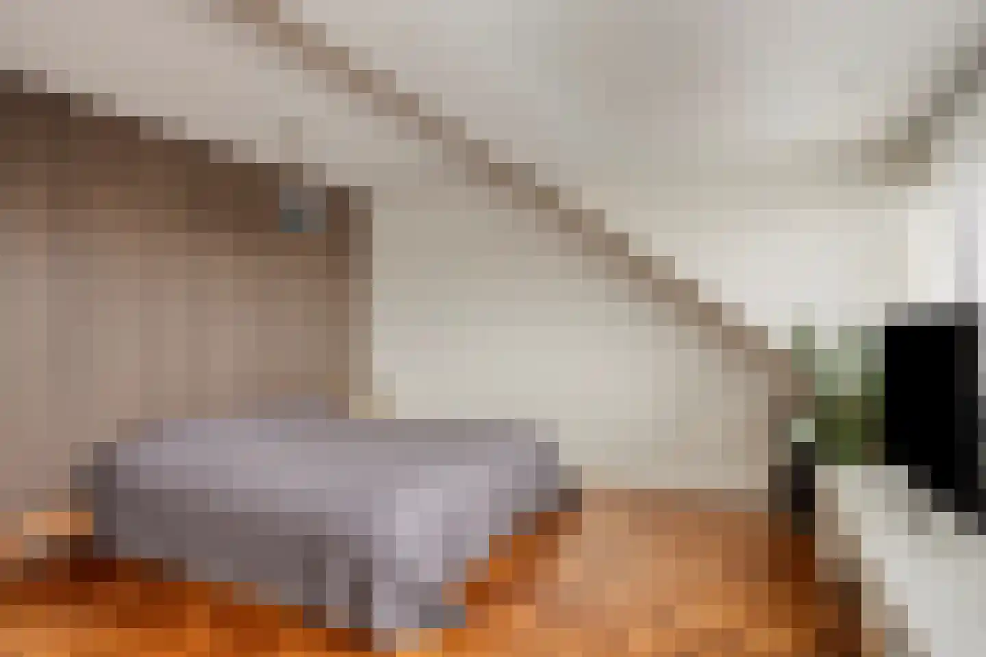 Schoonzicht 14 Oegstgeest thumbnail 31