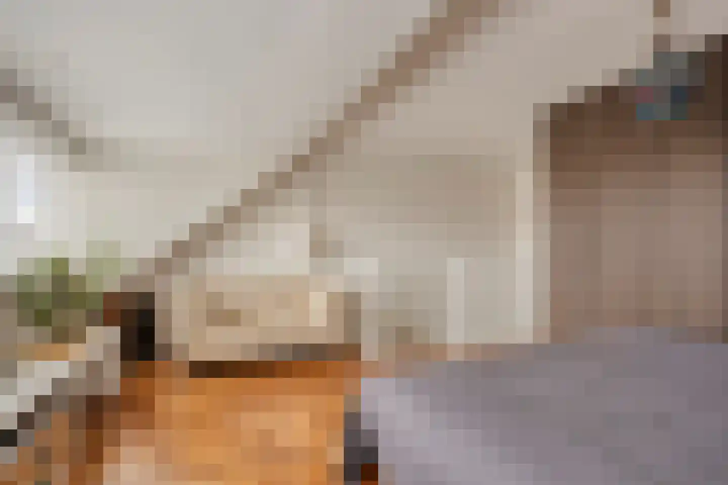 Schoonzicht 14 Oegstgeest thumbnail 32