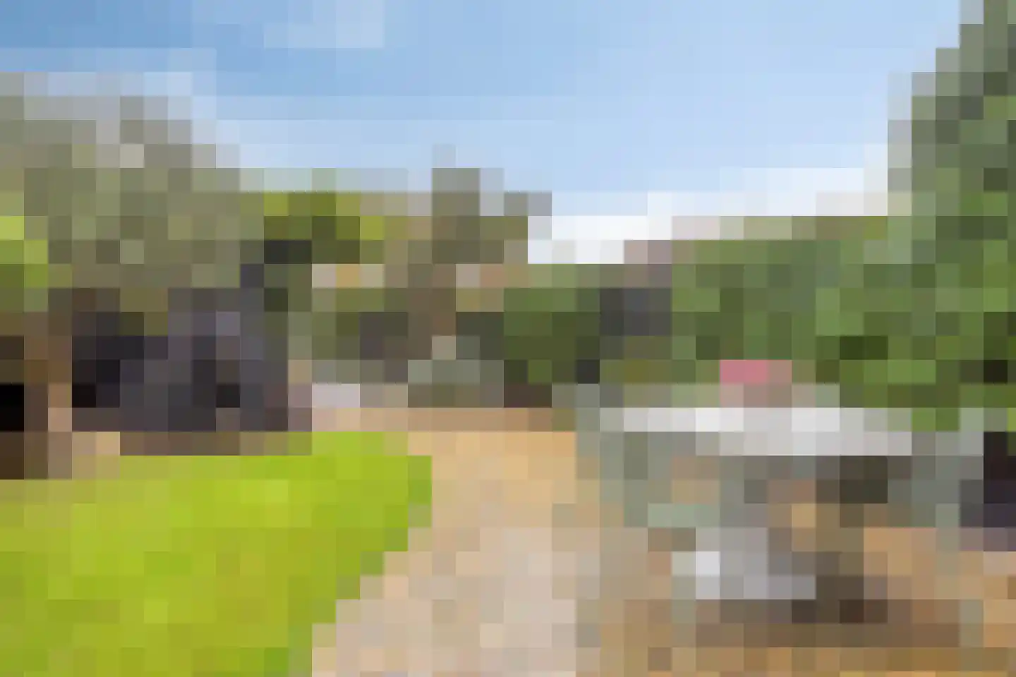 Schoonzicht 14 Oegstgeest thumbnail 4