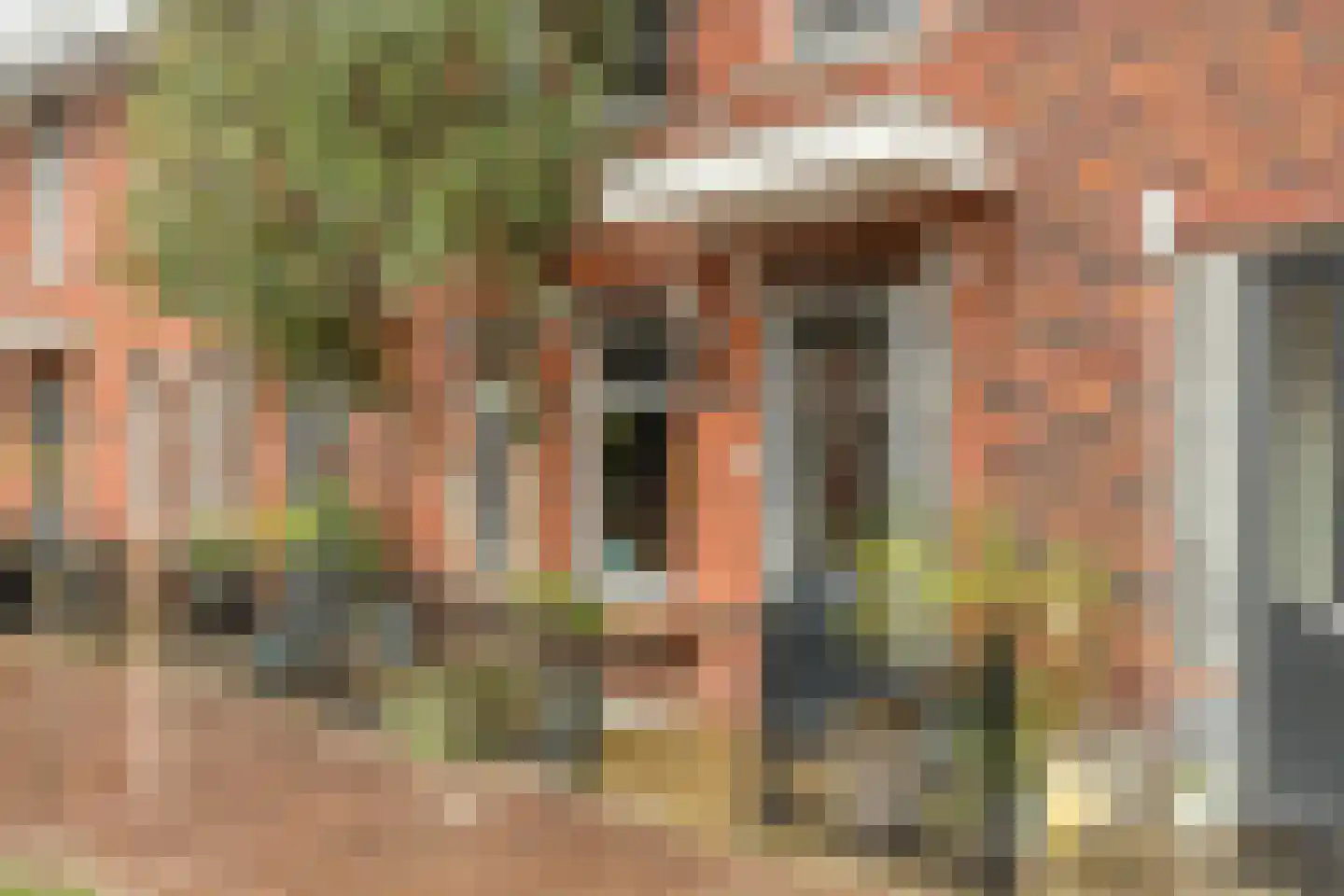 Schoonzicht 14 Oegstgeest thumbnail 5