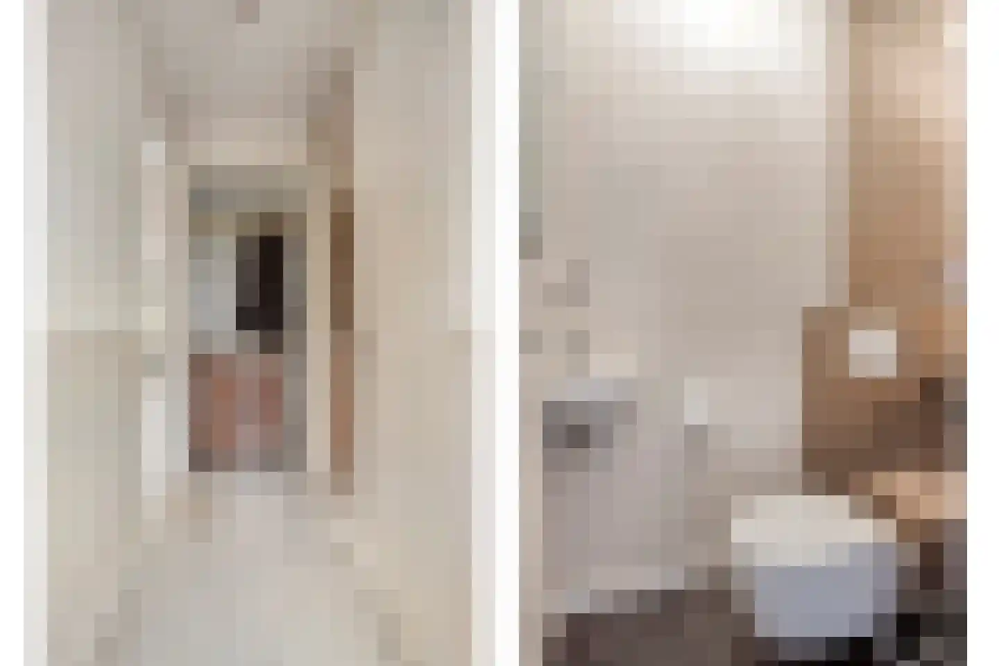 Schoonzicht 14 Oegstgeest thumbnail 6