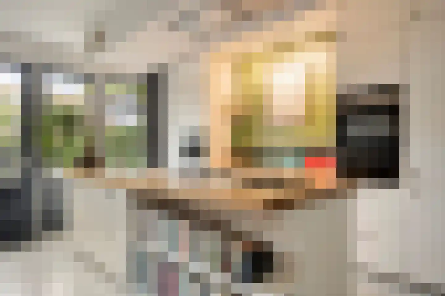 Schoonzicht 14 Oegstgeest thumbnail 9
