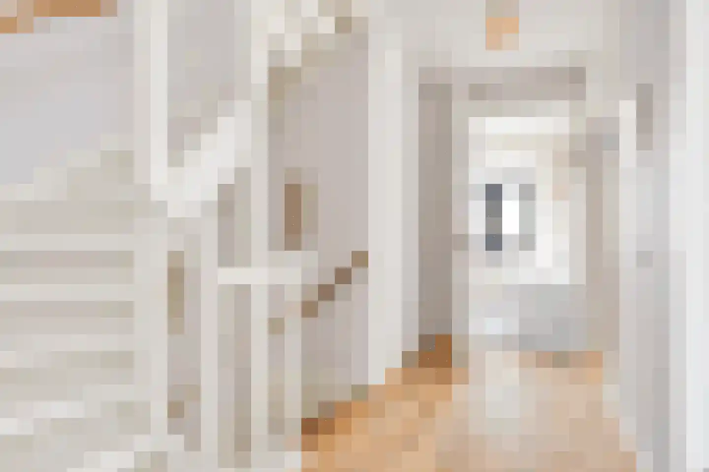 Schoonzicht 21 Oegstgeest thumbnail 18