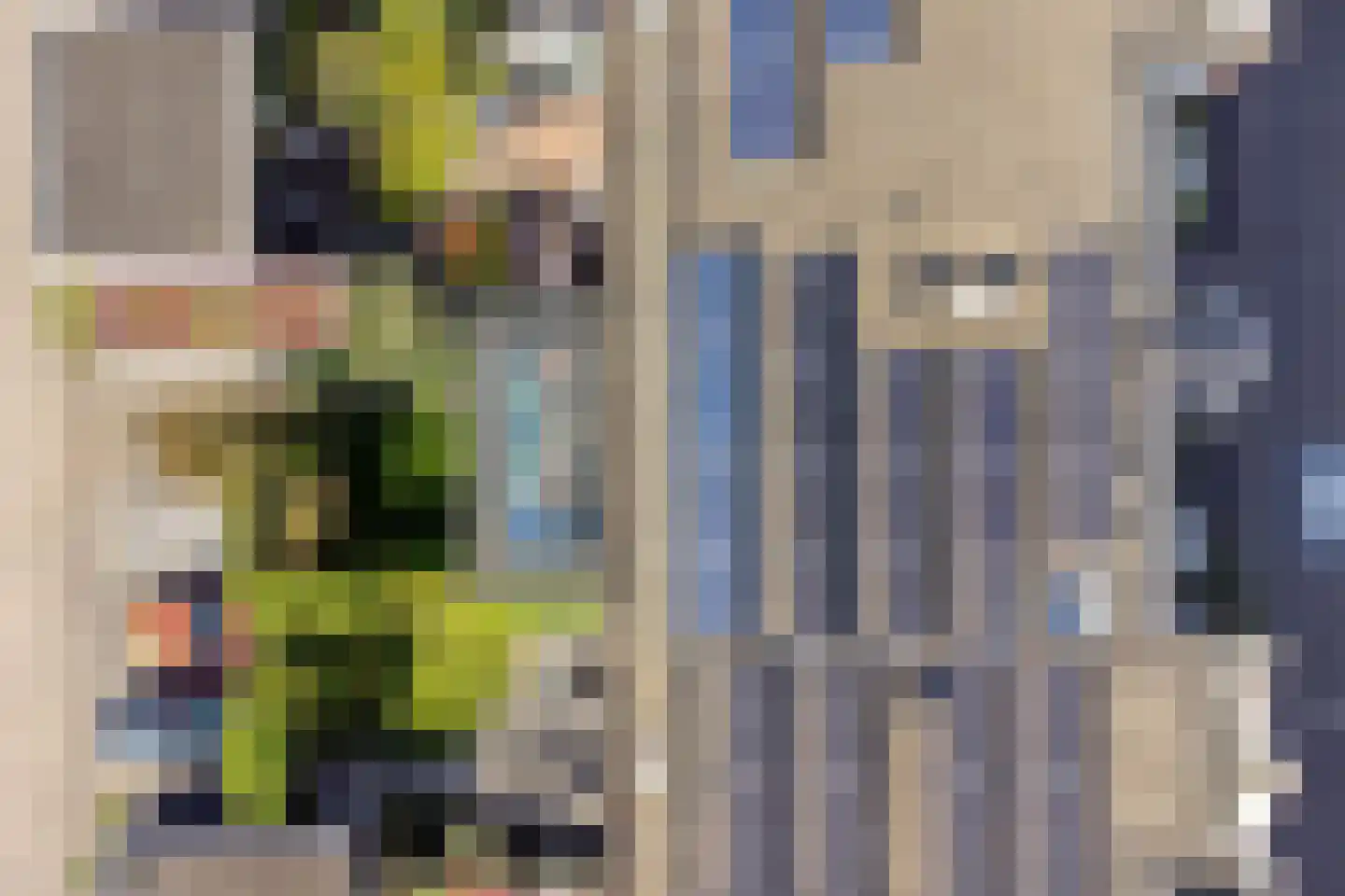 Schoonzicht 21 Oegstgeest thumbnail 18