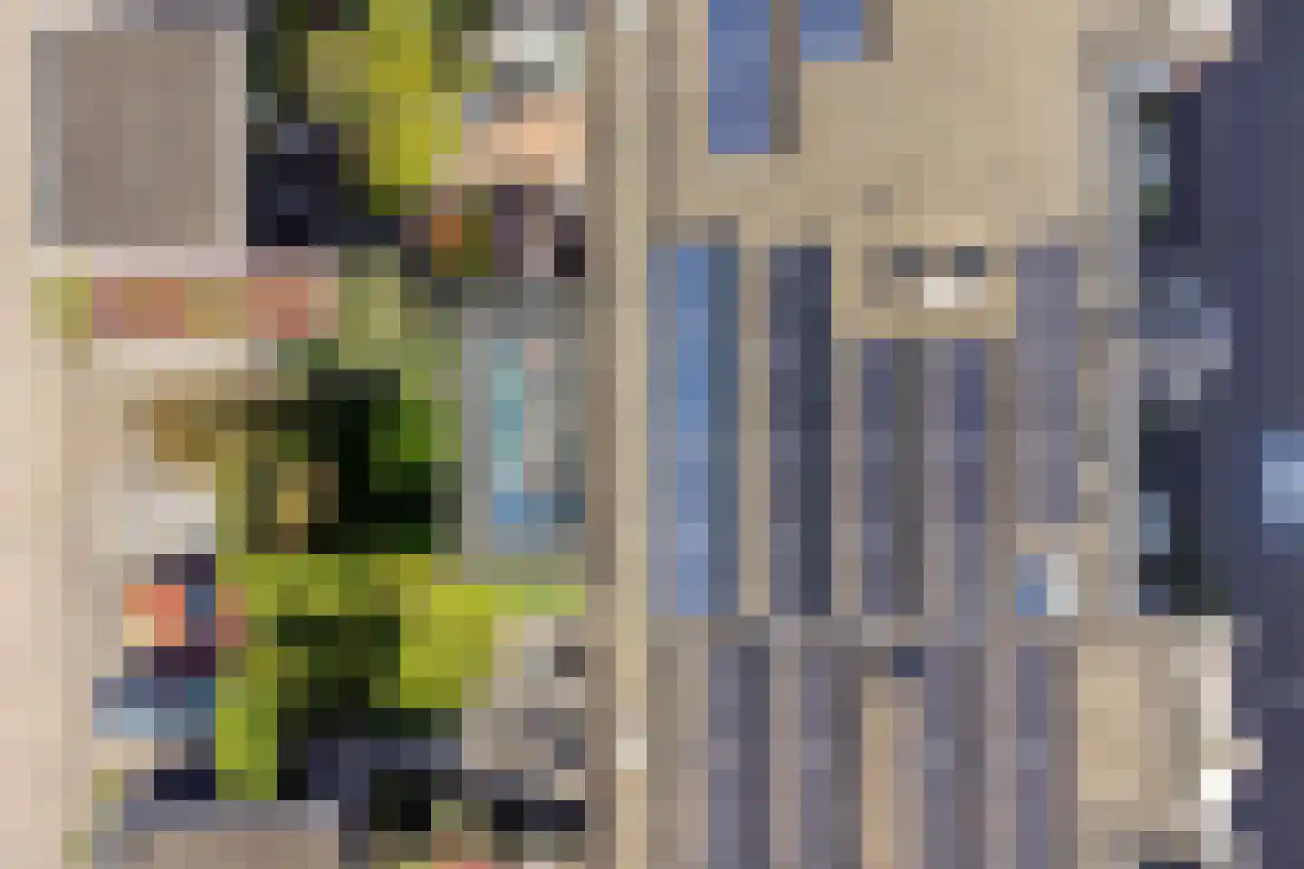 Schoonzicht 21 Oegstgeest thumbnail 18