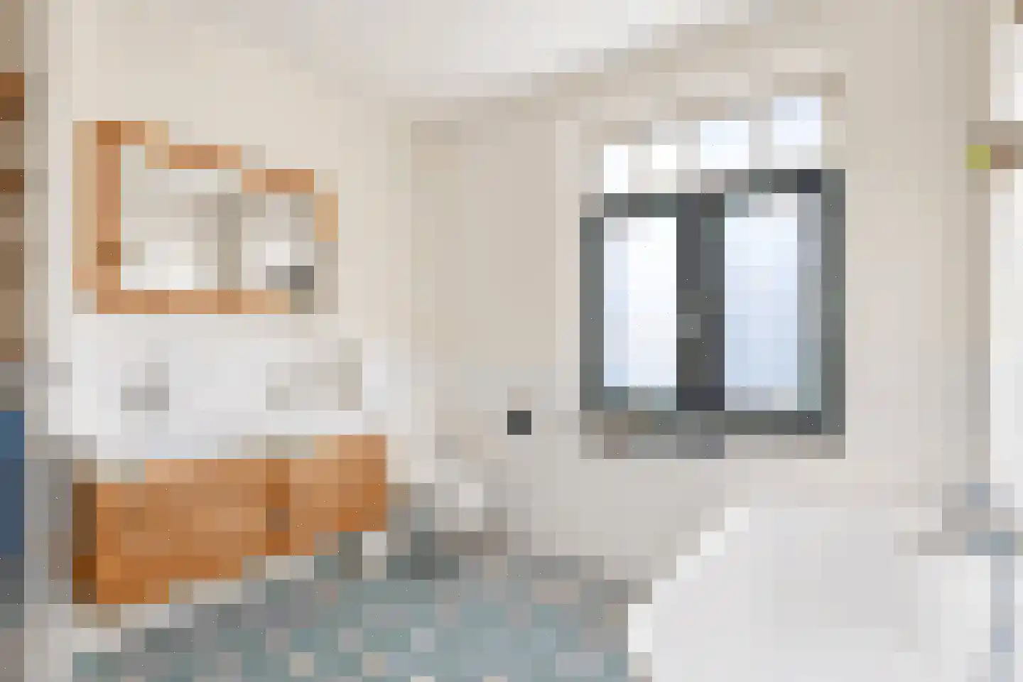 Schoonzicht 21 Oegstgeest thumbnail 19