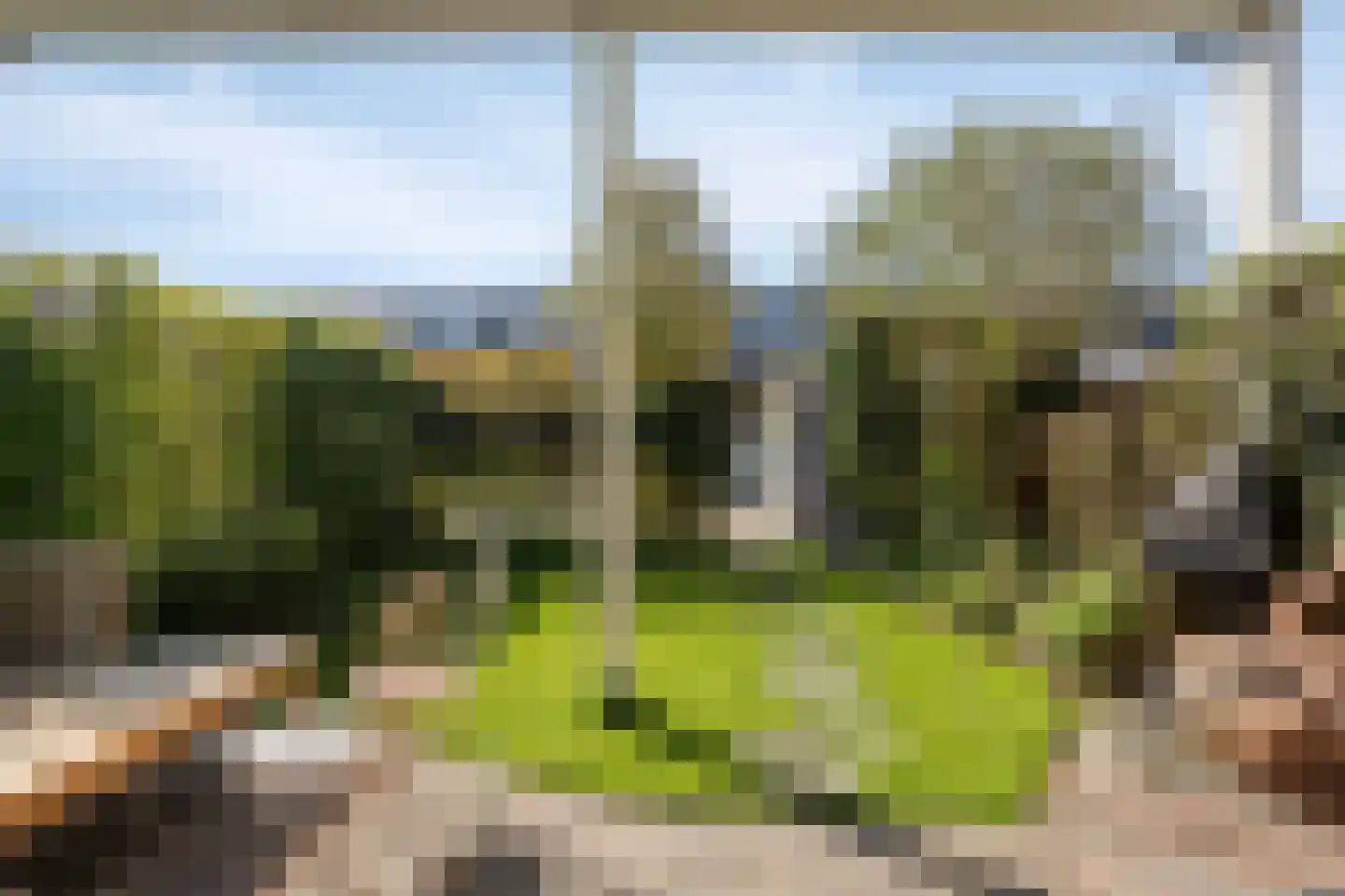 Schoonzicht 21 Oegstgeest thumbnail 24
