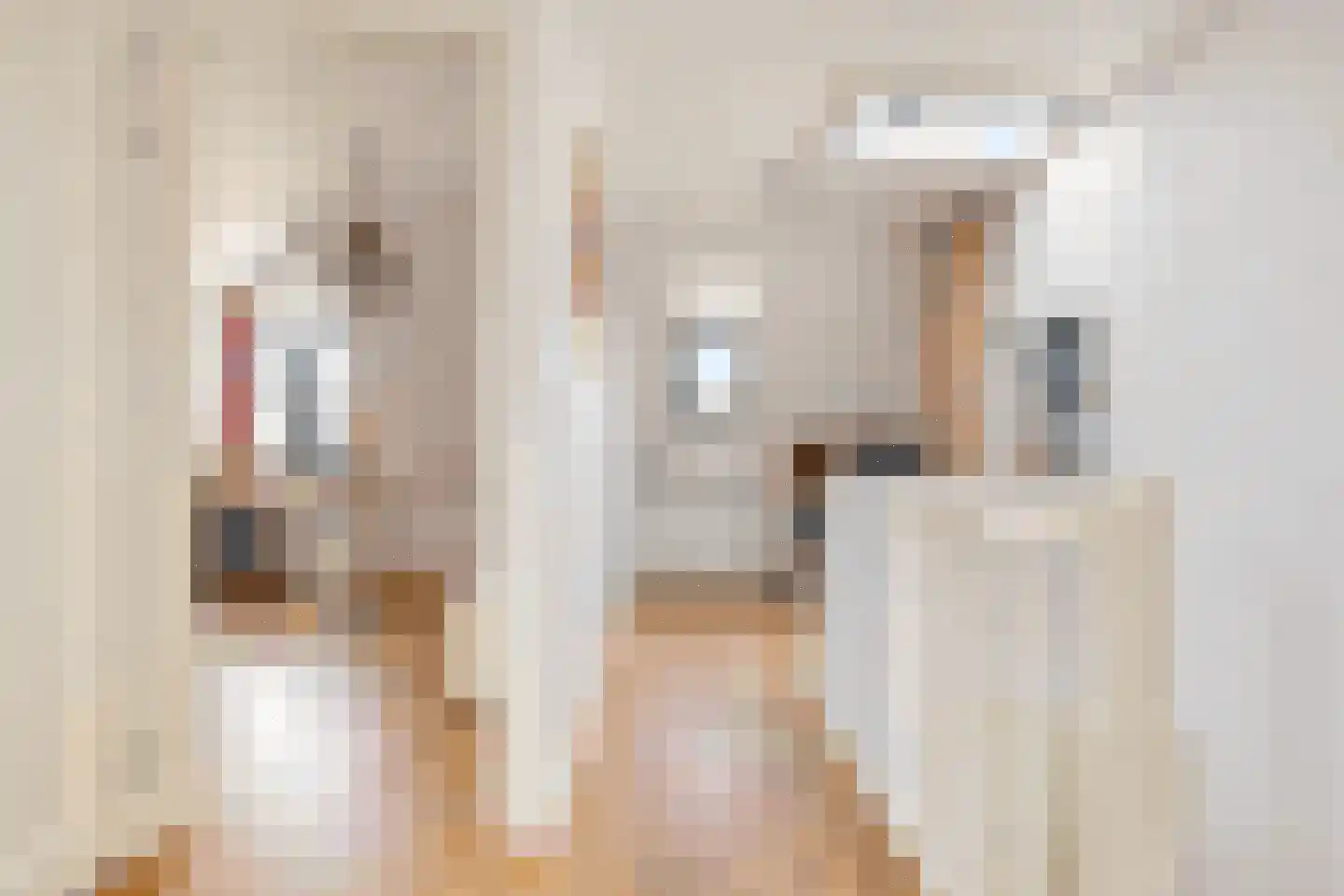Schoonzicht 21 Oegstgeest thumbnail 26