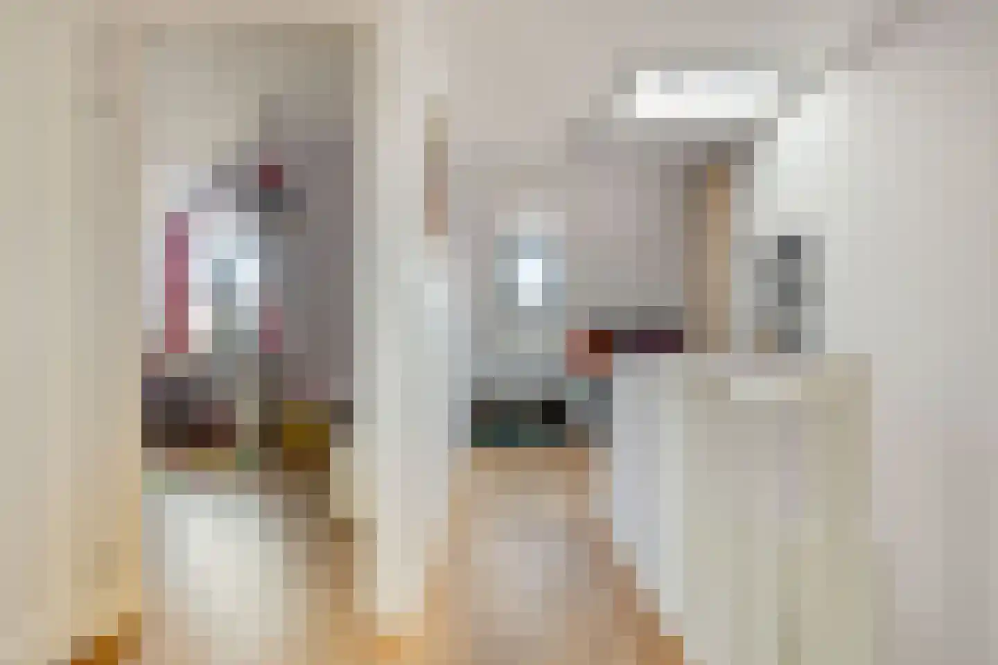 Schoonzicht 21 Oegstgeest thumbnail 38
