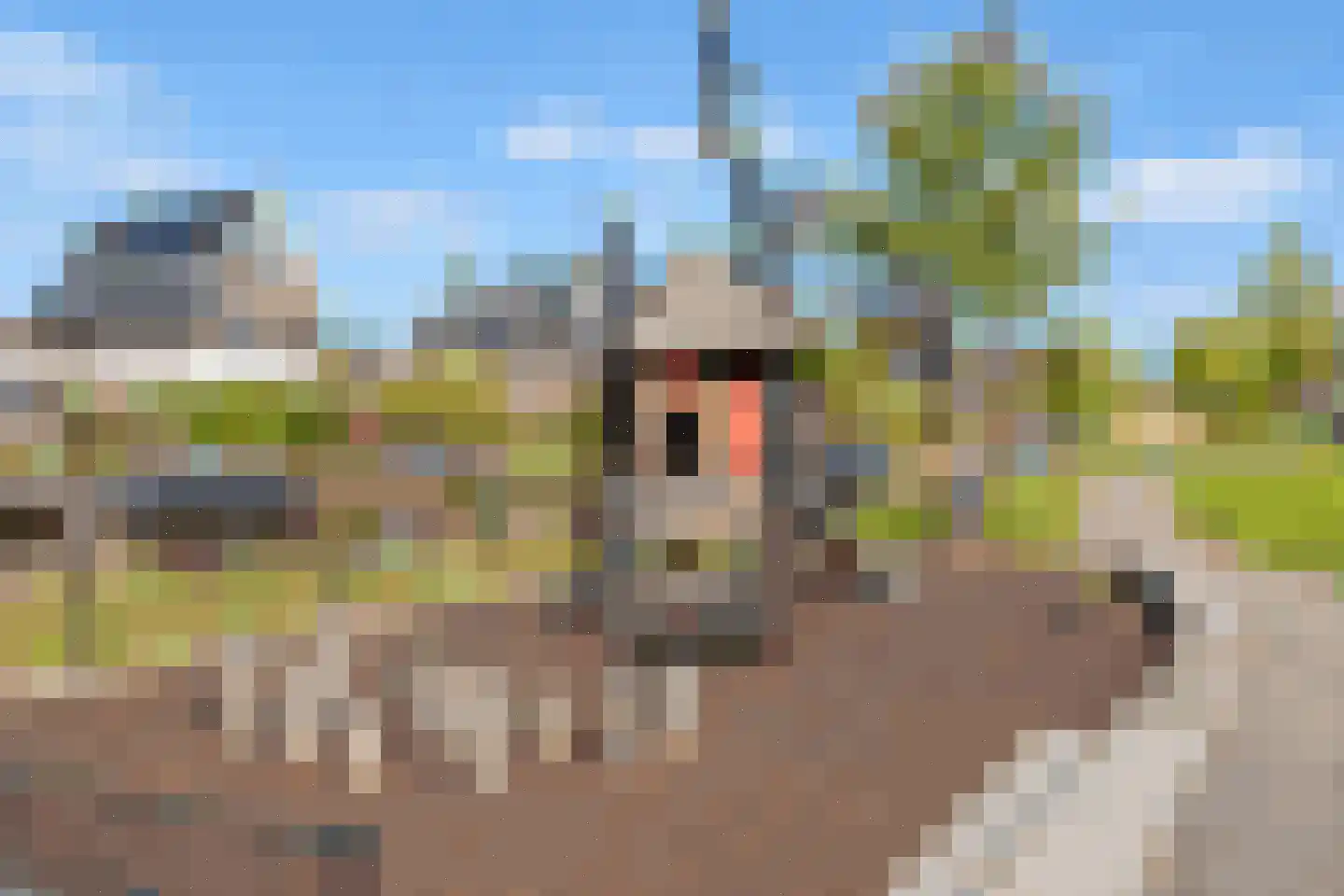 Schoonzicht 21 Oegstgeest thumbnail 41