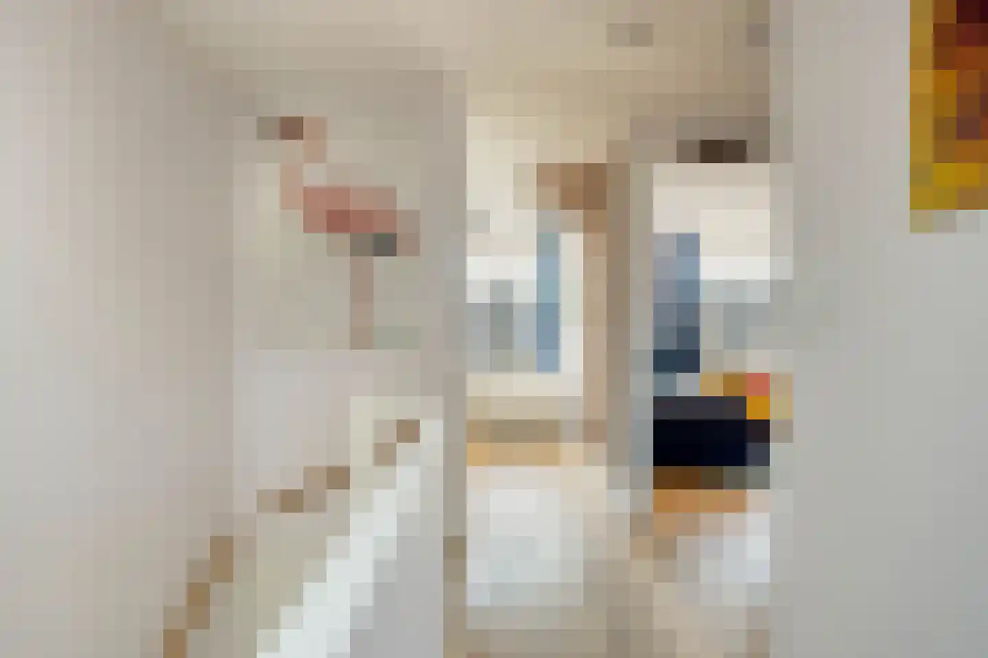Schoonzicht 21 Oegstgeest thumbnail 42
