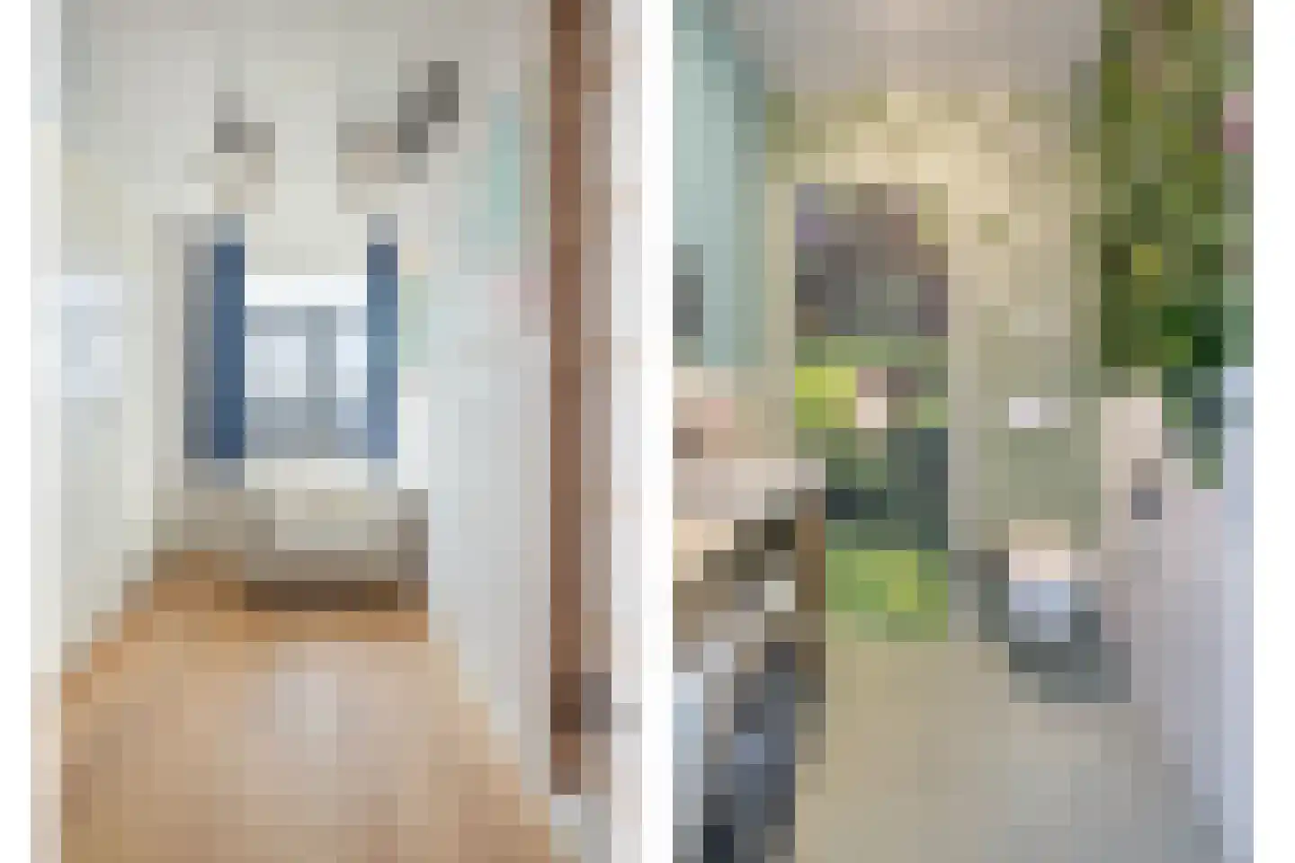 Schoonzicht 21 Oegstgeest thumbnail 45
