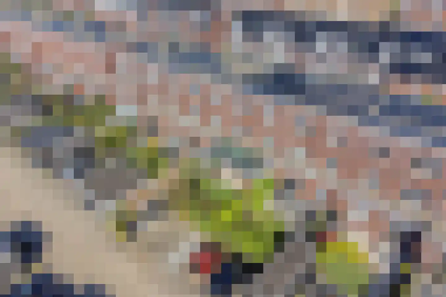 Schoonzicht 21 Oegstgeest thumbnail 46