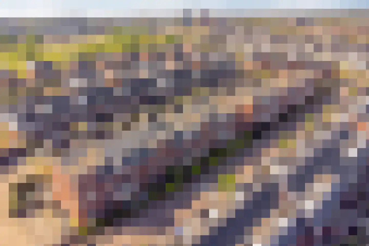 Schoonzicht 21 Oegstgeest thumbnail 49