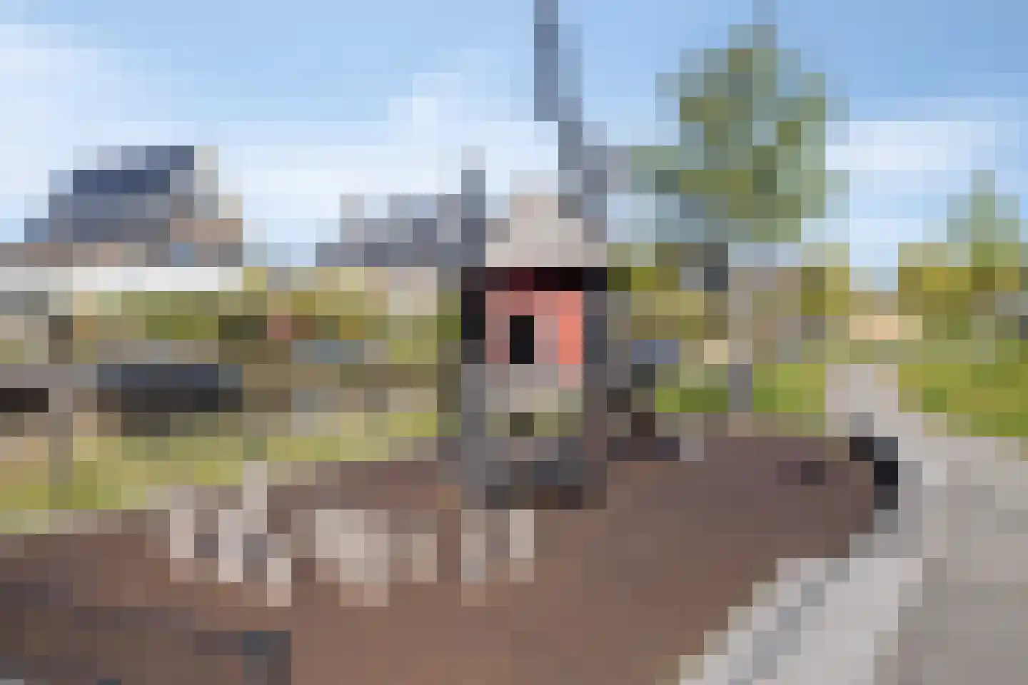 Schoonzicht 21 Oegstgeest thumbnail 51