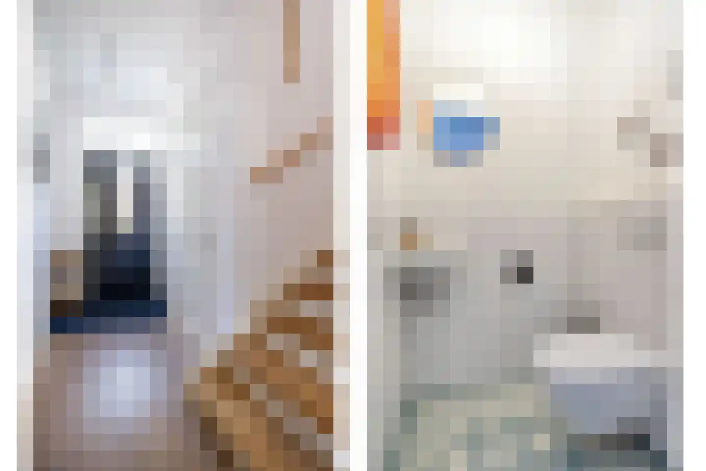 Schoonzicht 21 Oegstgeest thumbnail 6