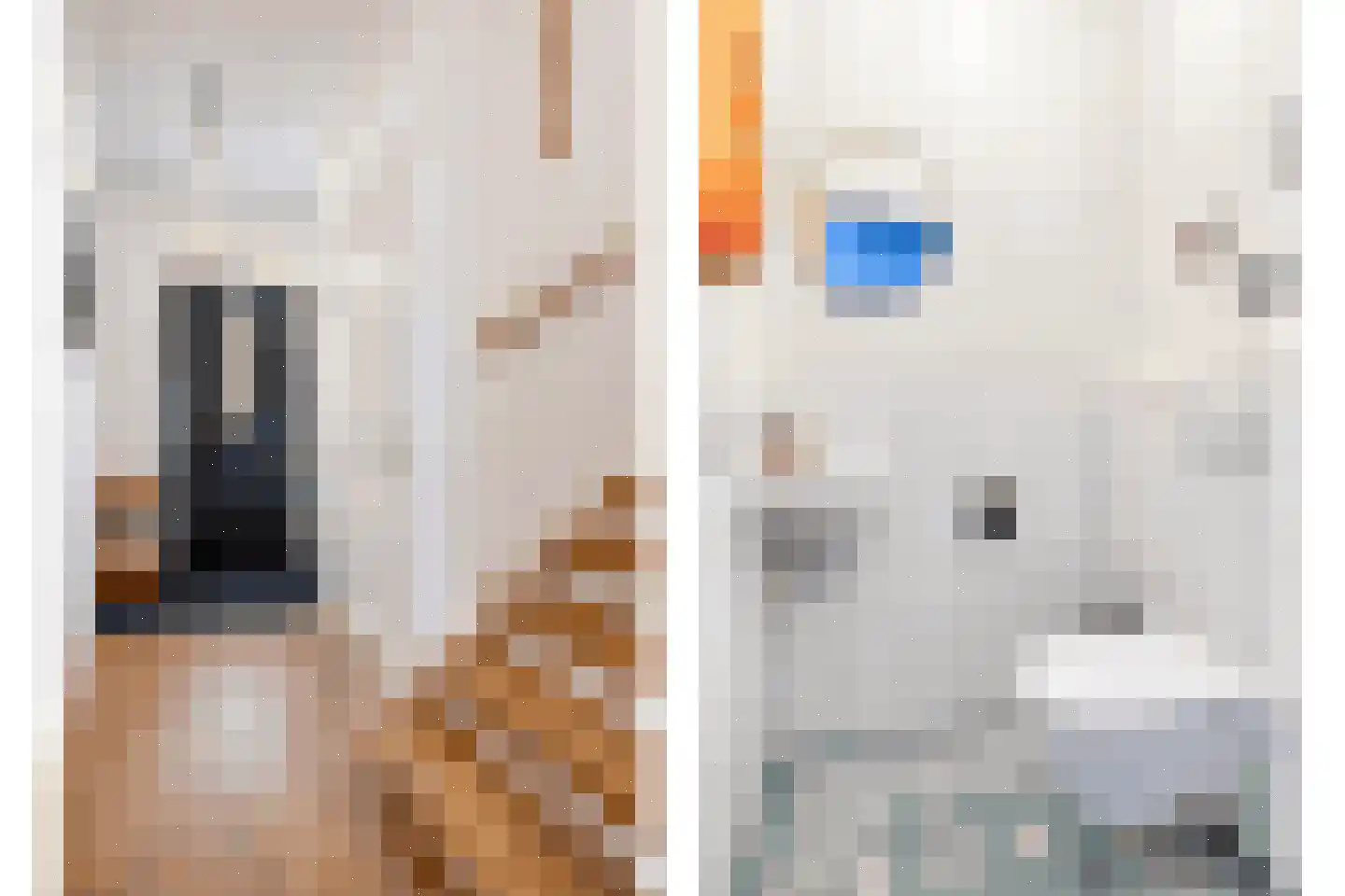 Schoonzicht 21 Oegstgeest thumbnail 7