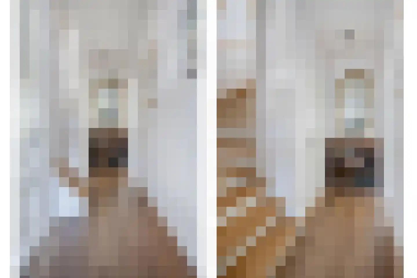 Schoonzicht 21 Oegstgeest thumbnail 7