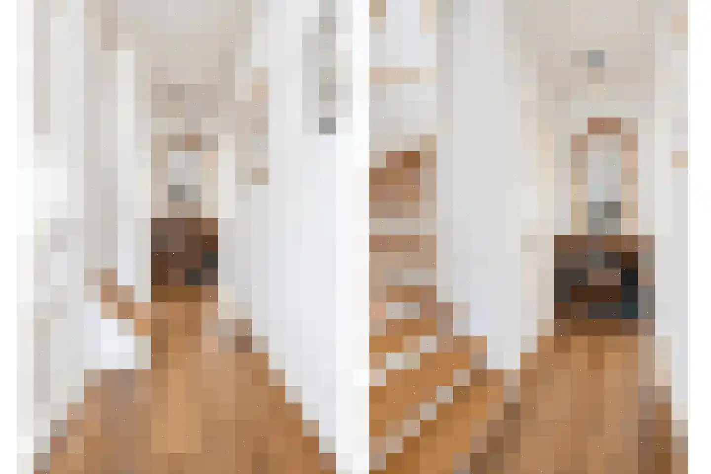 Schoonzicht 21 Oegstgeest thumbnail 8