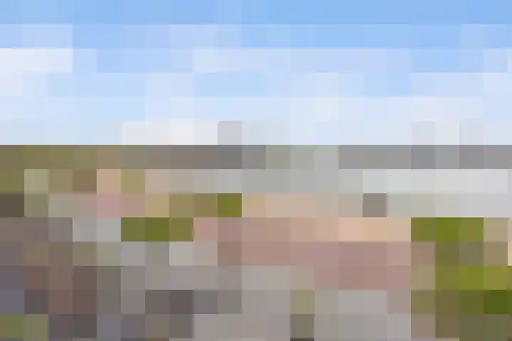 Schoonzicht 354 Lelystad thumbnail 33