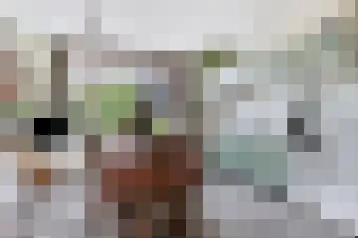 Schoorkenszandweg 15 's-Gravenpolder thumbnail 12