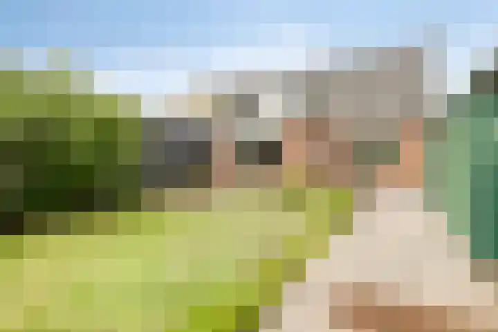 Schoorkenszandweg 15 's-Gravenpolder thumbnail 26