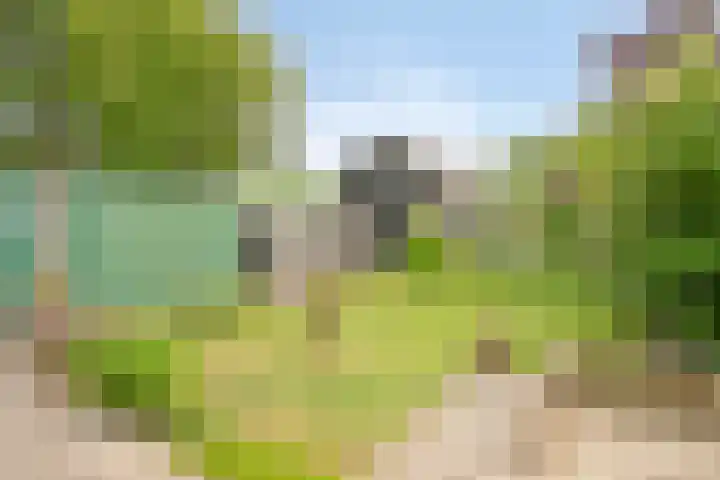 Schoorkenszandweg 15 's-Gravenpolder thumbnail 27