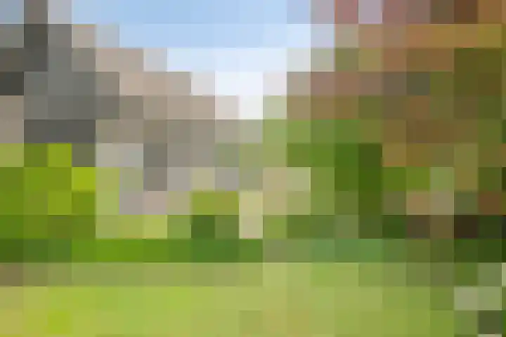 Schoorkenszandweg 15 's-Gravenpolder thumbnail 28