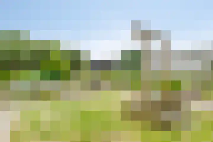 Schoorkenszandweg 15 's-Gravenpolder thumbnail 29