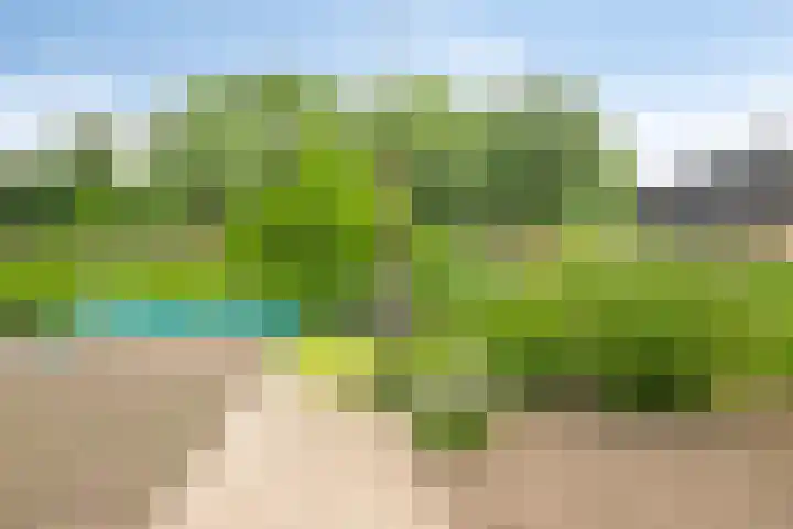 Schoorkenszandweg 15 's-Gravenpolder thumbnail 30