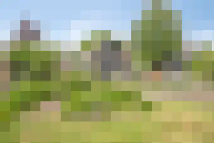 Schoorkenszandweg 15 's-Gravenpolder thumbnail 32