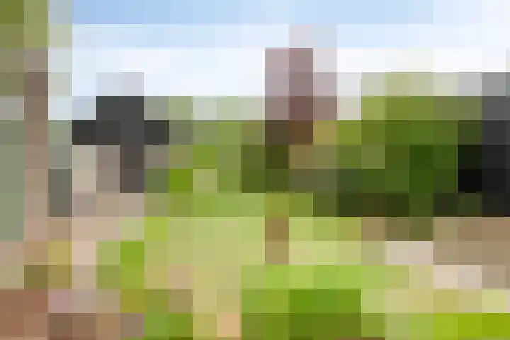 Schoorkenszandweg 15 's-Gravenpolder thumbnail 4
