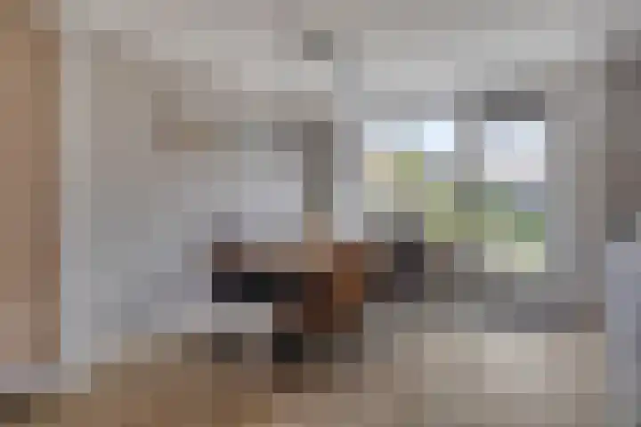 Schoorlaan 28 Heerhugowaard thumbnail 18