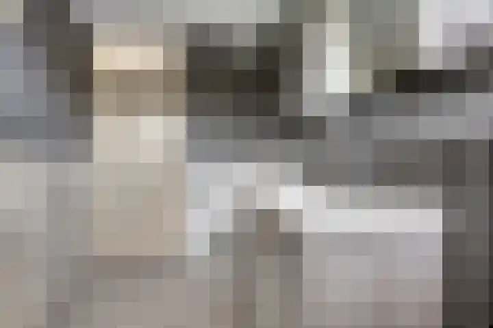 Schoorlaan 28 Heerhugowaard thumbnail 34